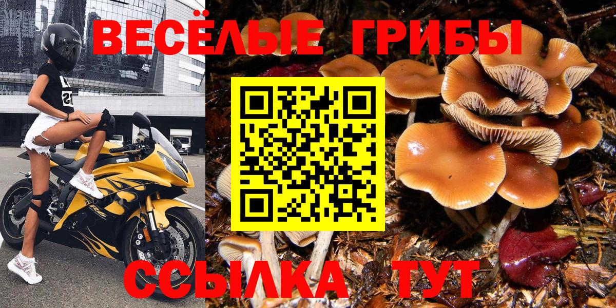 Галлюциногенные грибы Magic Shrooms Южно-Сахалинск