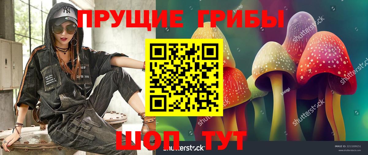 Псилоцибиновые грибы Psilocybine cubensis  Вход с VPN  Южно-Сахалинск  наркота  Галлюциногенные грибы мицелий 